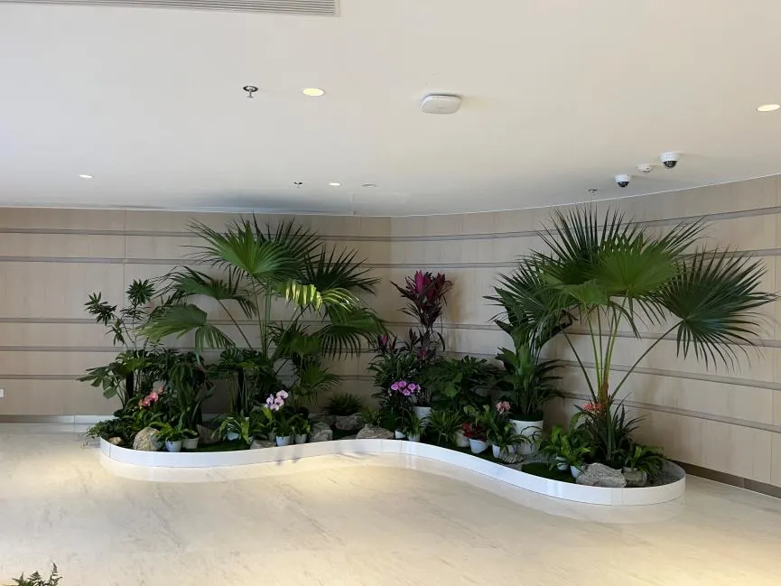 奉化绿植租赁方案，让绿意融入生活